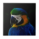 Recherche de perroquet bleu carreaux Animal