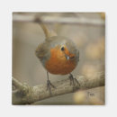 Recherche de ringard magnets Mignon