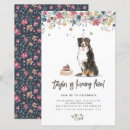 Recherche de bernese mountain dog Anniversaire