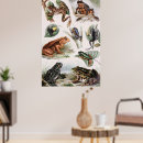 Recherche de catalogue posters Vintage