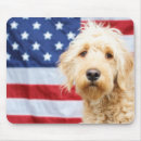 Search for mixed breed electronics Puppy
