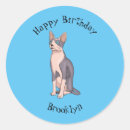 Search for sphynx cat stickers Pet