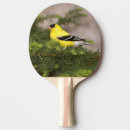 Recherche de mâle raquettes ping pong Nature