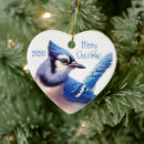 Search for blue jay ornaments Animal