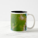 Recherche de continent tasses Photographie