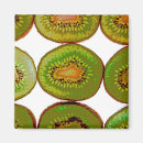 Search for kiwi magnets Kitchen