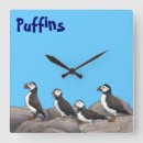 Recherche de puffin horloges Animaux