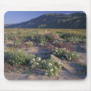 Search for primrose standard mousepads White