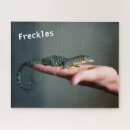 Search for chameleons puzzles Gecko