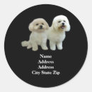 Search for bichon dog stickers Frise