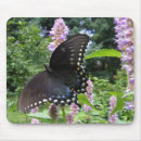 Search for swallowtail mousepads Butterflies