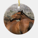 Search for mustang ornaments Equestrian