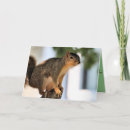 Search for perch cards Cute