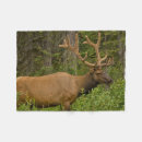 Search for alberta fleece blankets Banff national park