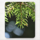 Search for fir tree electronics Green
