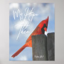 Search for scripture bird art Christian