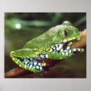 Search for eye spots posters Green