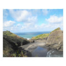Search for west coast posters Auckland