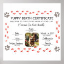 Recherche de patte de chien posters Dogs