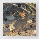 Search for rabbits clocks Cute