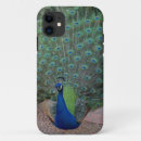 Search for wild peacock iphone cases Peafowl