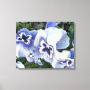 Search for pansies canvas prints Pansy