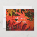 Search for red maple tree Leaf