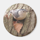 Search for breasted magnets Nature