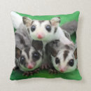 Recherche de planeur coussins Marsupial