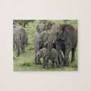 Recherche de éléphant africain puzzles Tanzanie