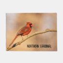 Recherche de cardinal Oiseaux rouges