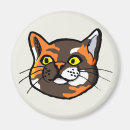 Search for tortoiseshell magnets Cat