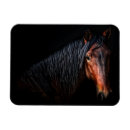 Recherche de de cheval magnets Animal