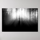 Search for sun shine posters Tree