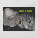 Search for peeking postcards Photography