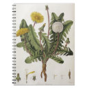 Search for engraved notebooks William