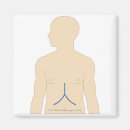 Recherche de travail magnets Problèmes