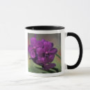 Search for mae mugs Asia