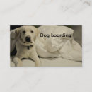 Search for kennel business cards Dog