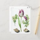 Recherche de naturaliste cartes postales Floral