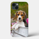 Recherche de tricolore iphone coques Dog