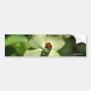 Search for photo bumper stickers Car