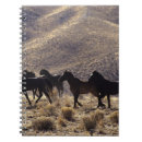 Search for wild one notebooks Mustang