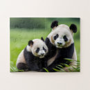 Recherche de panda puzzles Chine