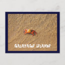 Recherche de îles cartes postales Galapagos