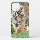 Search for tiger pictures iphone cases Cat