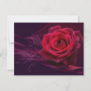 Recherche de velours cartes postales Rose