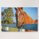 Recherche de sang puzzles Ferme