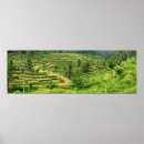 Recherche de rizières posters Paysage