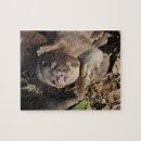 Search for otter puzzles Cute